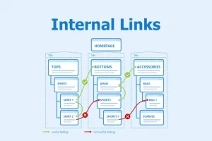 Trang chủ 11 Tầm quan trọng của Internal Link